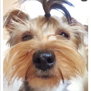 Meet your Posher, Andrea